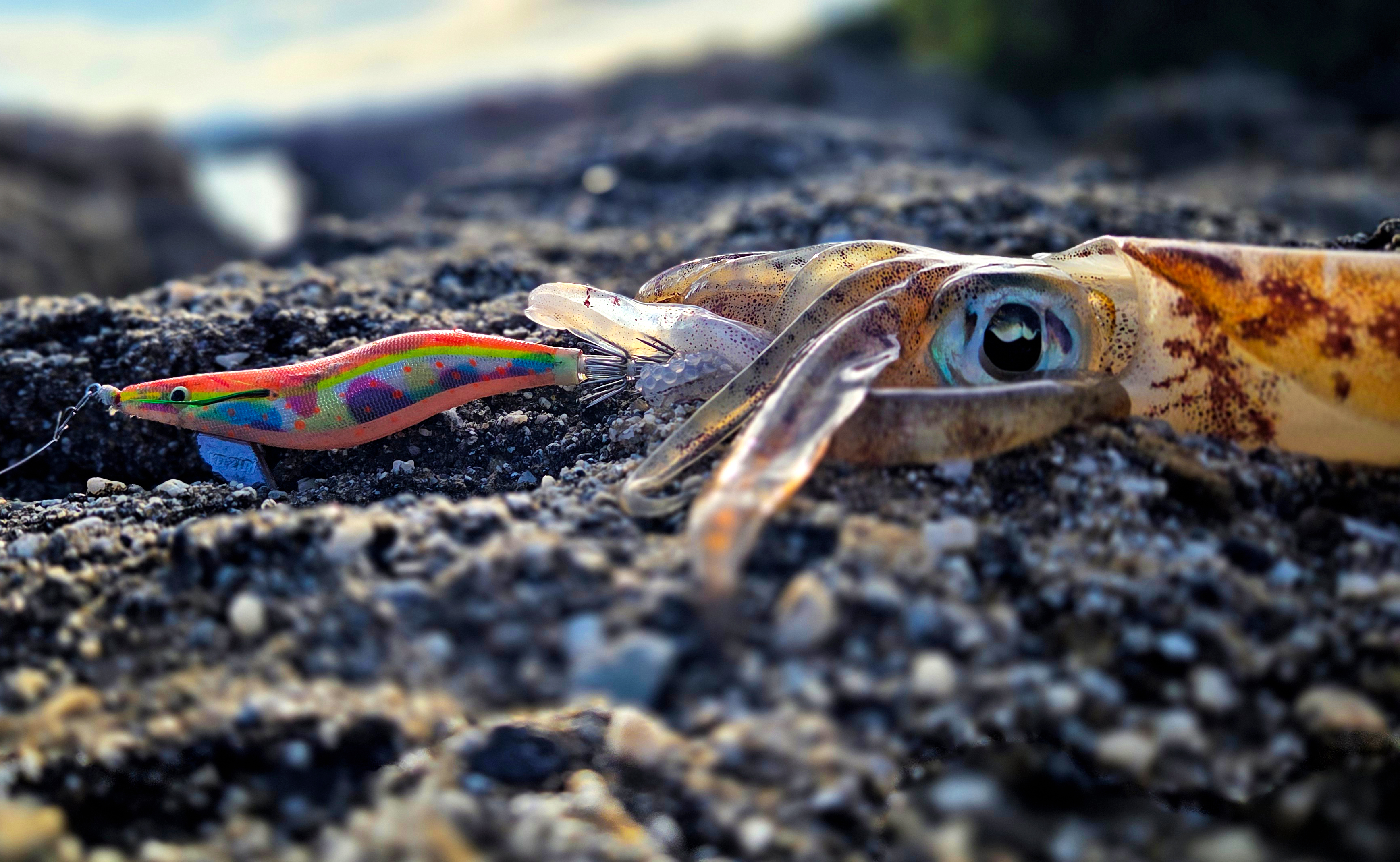 釣具の総合メーカー デュエル